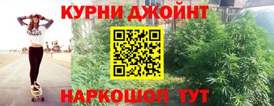 трава Камышлов