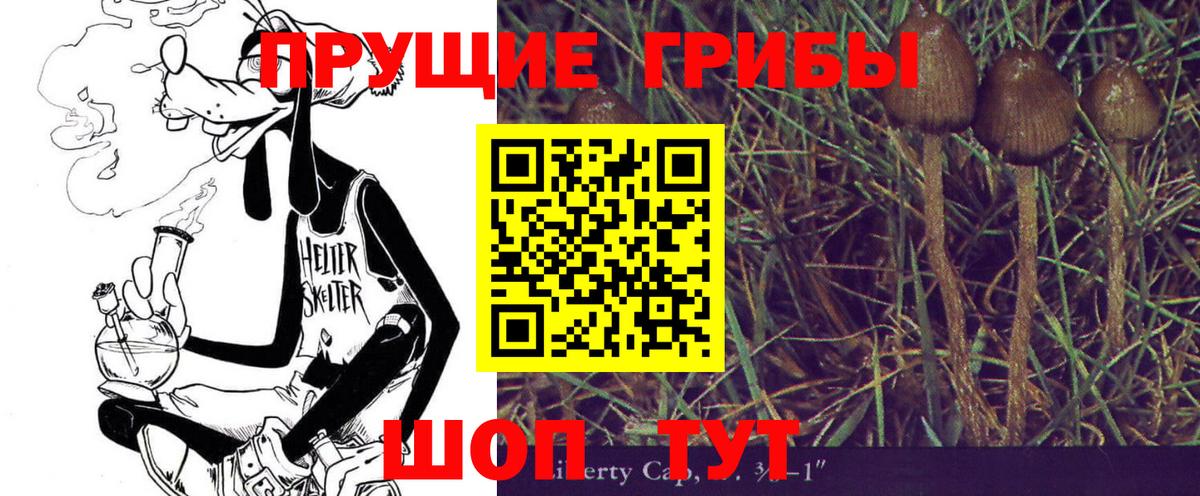 Псилоцибиновые грибы ЛСД Кузнецк